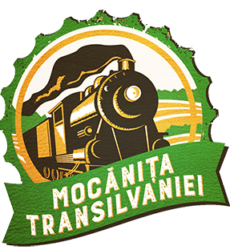Logo-MT